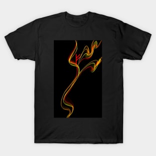 Fire-Rune F FEHU T-Shirt